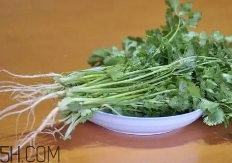 >香菜根煮水能减肥吗？香菜根煮水能天天喝吗？