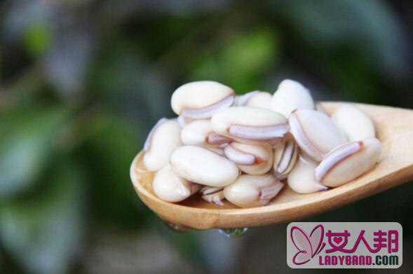 >白扁豆的功效与作用及食用方法 白扁豆的营养价值