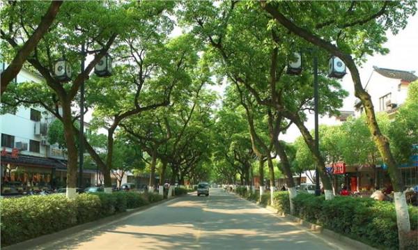 河南三门峡市委书记杨树平强调建设生态宜居城市
