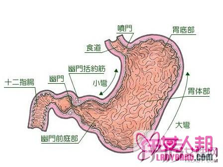 什么是浅表性胃炎 8条要素为您答疑解惑