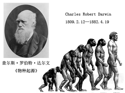 达尔文进化论的缺点 达尔文进化论的质疑点