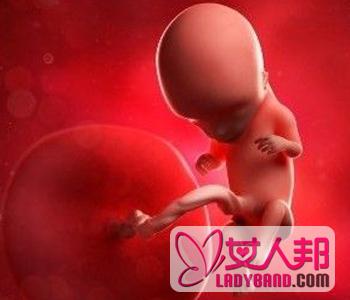 >【胎儿发育标准】胎儿发育指标_胎儿发育迟缓
