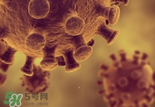 h1n1流感可以治好吗?h1n1流感能治愈吗?