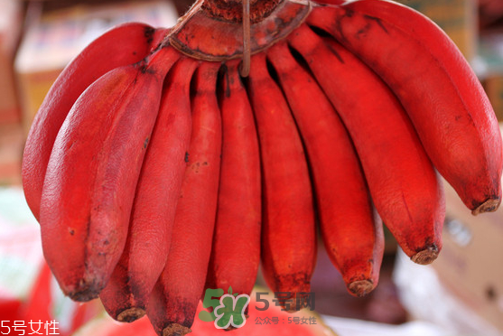 >红皮香蕉是转基因的吗？红皮香蕉和一般香蕉的区别
