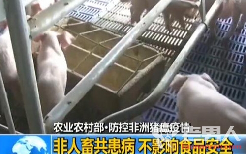>安徽凤阳发生非洲猪瘟疫情 已有62头发病22头死亡