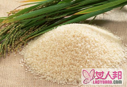 细数香米和大米的区别 香米柔软爽滑大米散硬