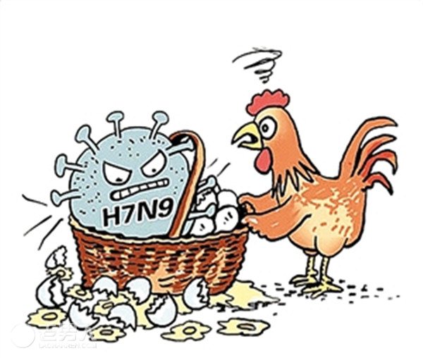 河南最新发现一例人感染H7N9病毒病例 已不治身亡