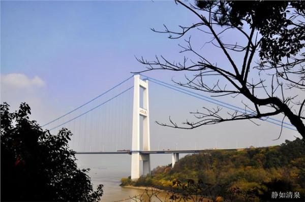 李金泉杨建文 杨建文:上海应搭建长江流域与国际市场之间的桥梁