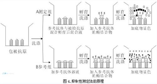 与“酶毒usr试验“有关的文献报道