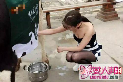 >北京挤奶妹小区门前挤奶卖奶 穿着暴露三观堪忧(图)