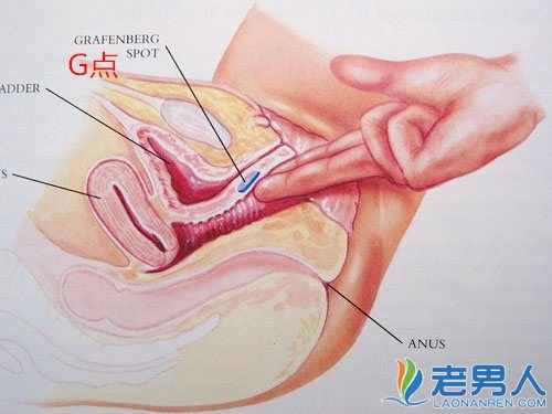 女性高潮阴道“射精”过程全解析