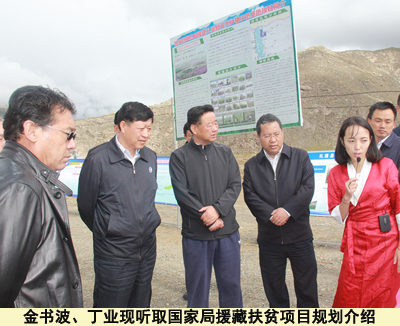 西藏丁业现 西藏自治区常务副主席丁业现赴国网西藏电力调研