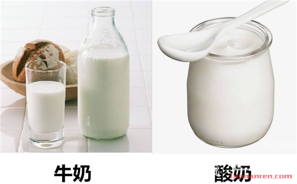 >纯牛奶和酸奶可以一起喝吗 是否会对身体造成不良影响