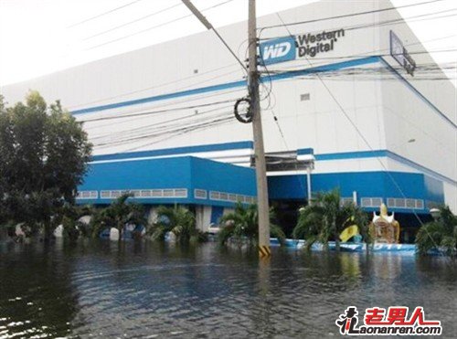 >泰国洪灾：PC厂商开始抢夺硬盘零部件