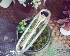 >微针可以自己在家做吗?家用微针帮你祛痘