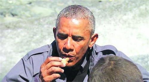 >奥巴马参加好声音 奥巴马参加“荒野求生” 捡熊吃剩的鲑鱼:好吃