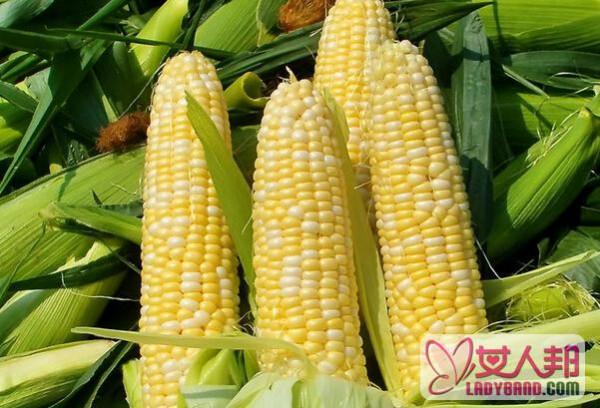 吃鲜玉米有什么好处 鲜玉米的营养价值