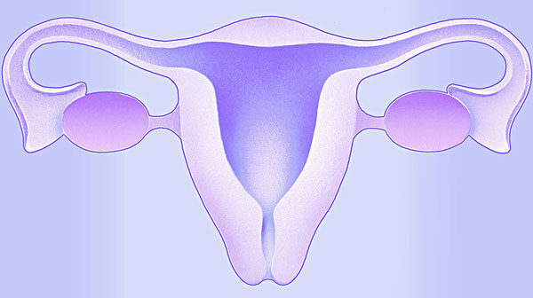 >子宫下垂的症状是什么 吃什么可以调理