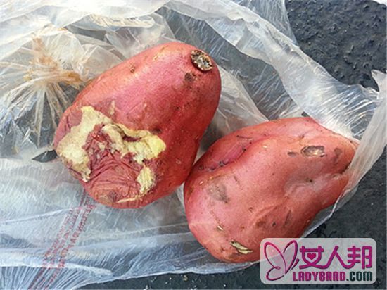 >鲜红薯叶有什么好处 鲜红薯叶的功效与作用