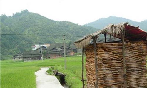 秋天的田野 陈肖坪:秋天的田野并不寂寞