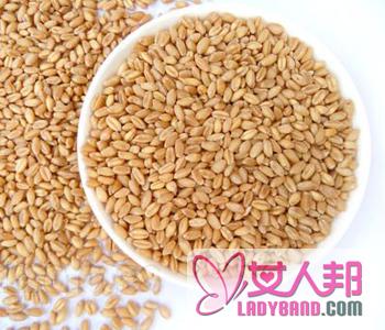 【浮小麦是什么】浮小麦的食用方法_浮小麦的功效与作用_浮小麦和小麦的区别
