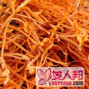 >【冬虫夏草花】冬虫夏草花的功效与作用及食用方法