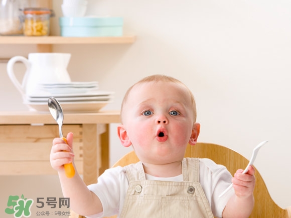 >宝宝辅食可以吃哪些蔬菜？宝宝吃蔬菜泥的最佳时间