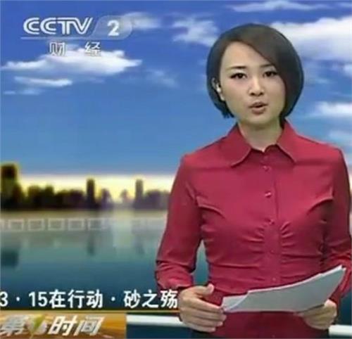 传央视27岁财经频道主持人欧阳智薇被带走调查(四)