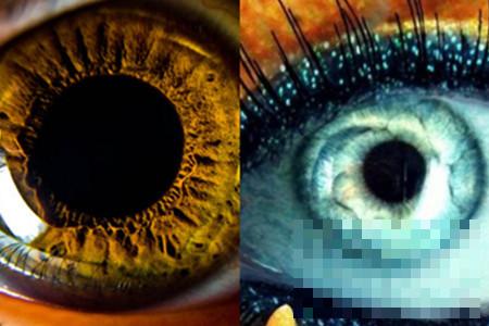 >瞳孔颜色有哪些   生活环境是产生差异的原因