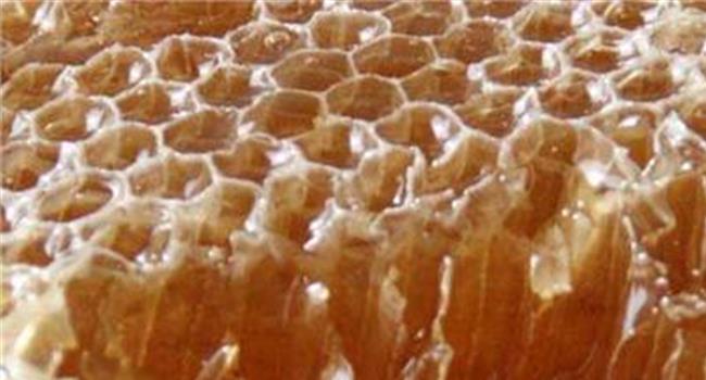 蜂巢蜜怎么分辨真假?