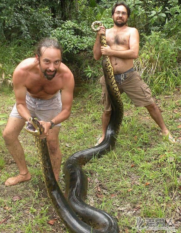 >圭亚那教师捕获5米长巨型蟒蛇（多图）