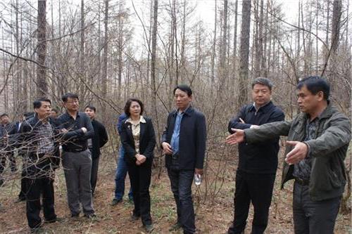 刘东生长江委 国家林业局刘东生副局长赴黑龙江重点国有林区调研
