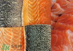 澳洲三文鱼多少钱一斤_澳洲三文鱼价格