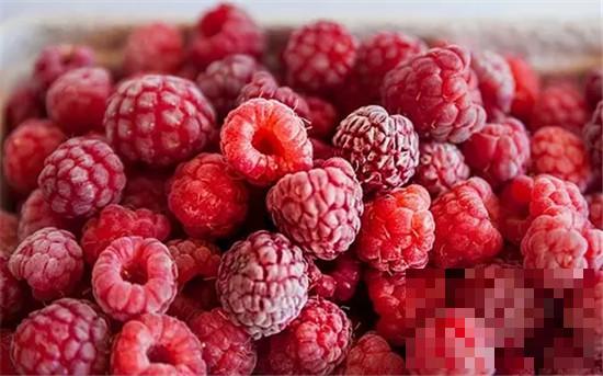 >山莓的营养价值 山莓能促进消化