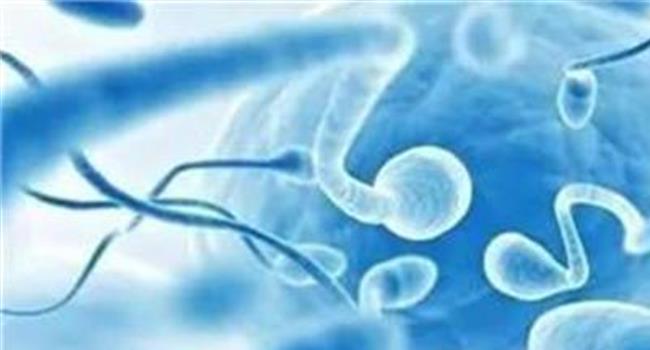 【精子活力40%可以怀孕吗】精子活力低能怀孕吗?