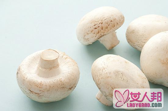 吃蘑菇有什么好处 蘑菇也能轻松养胃防病