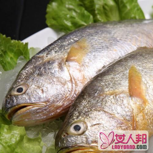 >小黄鱼的功效与作用及食用方法_小黄鱼的营养价值