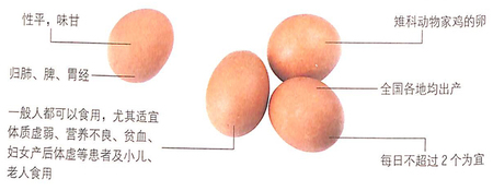 鸡蛋的功效作用能延缓衰老,增强体质