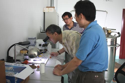 美国国家强磁场实验室杨昆教授访问强磁场科学中心