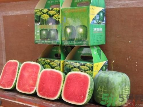方形西瓜是转基因吗？方形西瓜好吃吗？