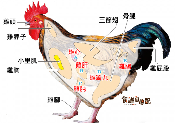 >鸡各部位怎么吃最好吃