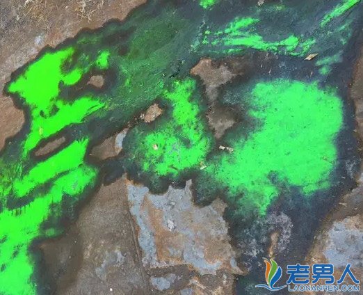 天津水泥地遇水变绿 原起化学试剂泄露