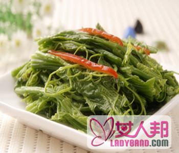 【山野菜种类】山野菜的种类有哪些_山野菜有营养吗