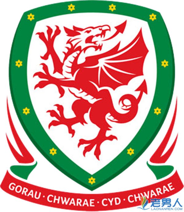 2016欧洲杯威尔士国家队23人阵容及主教练完整名单资料