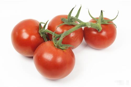 >西红柿中富含什么 西红柿的营养价值