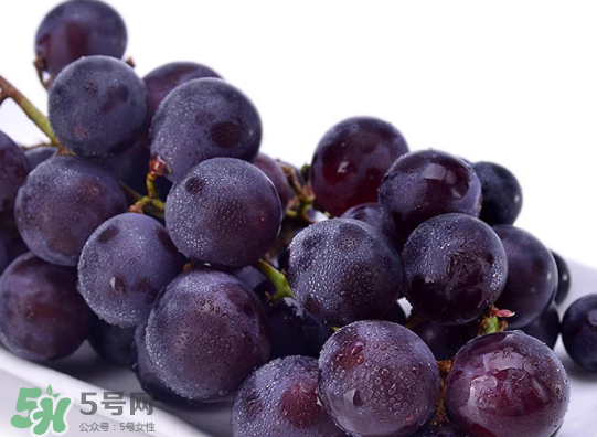 巨峰葡萄和葡萄有什么区别？巨峰葡萄是转基因的吗？