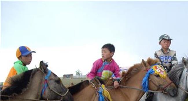 【蒙古国和内蒙古的区别】蒙古国和我国内蒙古自治区哪个经济实力更强?