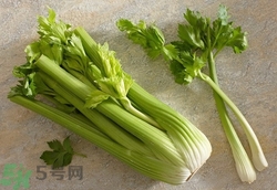 芹菜和韭菜能一起吃吗?芹菜和韭菜可以一块包饺子吗