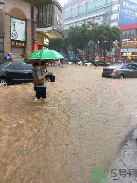 广州暴雨红色预警信号 遇到暴雨怎么办?