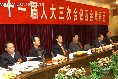 市委书记覃卫东、市长杨浩明等市领导参加人大分组讨论政府工作报告